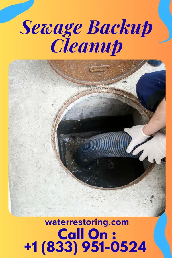 Sewage Backup Cleanup in Covington, TN